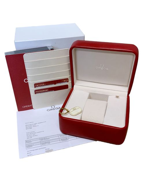 Omega Seamaster 300m 212.30.41.61.01.001 Image 4